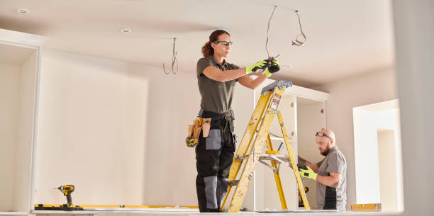 Best Electric Panel Repair  in Saddlebrooke, AZ